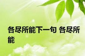 各尽所能下一句 各尽所能 