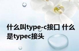 什么叫type-c接口 什么是typec接头