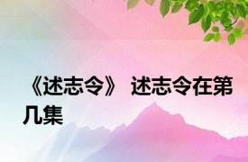 《述志令》 述志令在第几集 