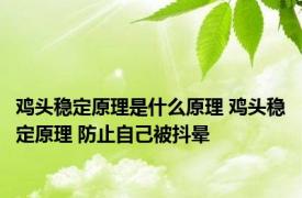 鸡头稳定原理是什么原理 鸡头稳定原理 防止自己被抖晕