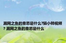 漏网之鱼的意思是什么?猫小帅视频? 漏网之鱼的意思是什么 