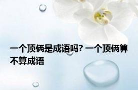 一个顶俩是成语吗? 一个顶俩算不算成语 