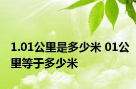 1.01公里是多少米 01公里等于多少米