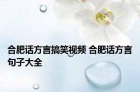 合肥话方言搞笑视频 合肥话方言句子大全 