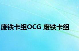 废铁卡组OCG 废铁卡组 