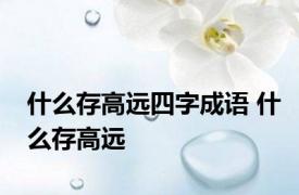 什么存高远四字成语 什么存高远 