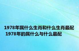 1978年属什么生肖和什么生肖最配 1978年的属什么与什么最配 