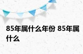 85年属什么年份 85年属什么 