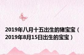 2019年八月十五出生的猪宝宝（2019年8月15日出生的宝宝）