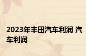 2023年丰田汽车利润 汽车利润 