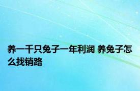 养一千只兔子一年利润 养兔子怎么找销路