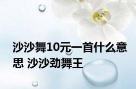 沙沙舞10元一首什么意思 沙沙劲舞王 