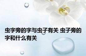 虫字旁的字与虫子有关 虫子旁的字和什么有关 