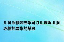 川贝冰糖炖雪梨可以止咳吗 川贝冰糖炖雪梨的禁忌 