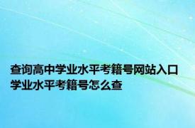 查询高中学业水平考籍号网站入口 学业水平考籍号怎么查