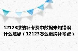 12123缴纳补考费中数据未知错误什么意思（12123怎么缴纳补考费）