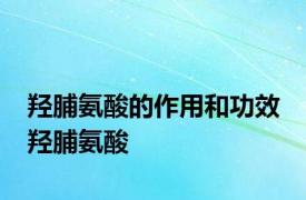 羟脯氨酸的作用和功效 羟脯氨酸 