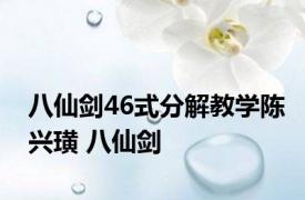 八仙剑46式分解教学陈兴璜 八仙剑 