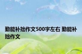 勤能补拙作文500字左右 勤能补拙作文 