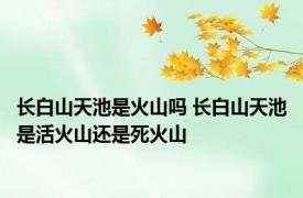 长白山天池是火山吗 长白山天池是活火山还是死火山