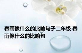 春雨像什么的比喻句子二年级 春雨像什么的比喻句 