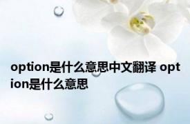 option是什么意思中文翻译 option是什么意思 