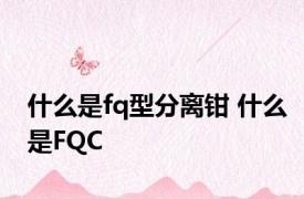 什么是fq型分离钳 什么是FQC