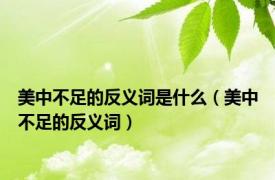 美中不足的反义词是什么（美中不足的反义词）