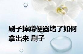 刷子掉蹲便器堵了如何拿出来 刷子 