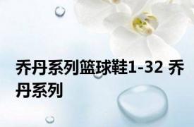 乔丹系列篮球鞋1-32 乔丹系列 