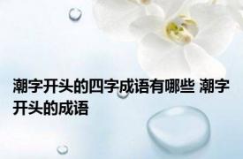 潮字开头的四字成语有哪些 潮字开头的成语 