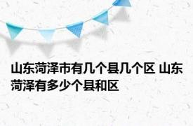 山东菏泽市有几个县几个区 山东菏泽有多少个县和区