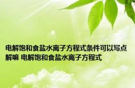 电解饱和食盐水离子方程式条件可以写点解嘛 电解饱和食盐水离子方程式 