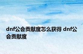 dnf公会贡献度怎么获得 dnf公会贡献度 