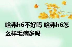 哈弗h6不好吗 哈弗h6怎么样毛病多吗 