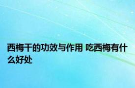 西梅干的功效与作用 吃西梅有什么好处 