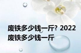 废铁多少钱一斤? 2022废铁多少钱一斤