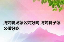 清炖鸭汤怎么炖好喝 清炖鸭子怎么做好吃 