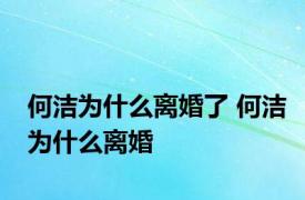 何洁为什么离婚了 何洁为什么离婚 