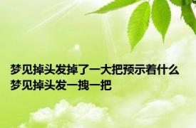 梦见掉头发掉了一大把预示着什么 梦见掉头发一拽一把 