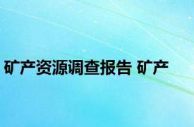 矿产资源调查报告 矿产 