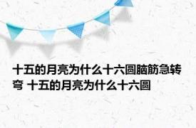 十五的月亮为什么十六圆脑筋急转弯 十五的月亮为什么十六圆 