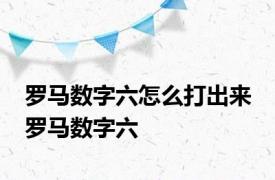 罗马数字六怎么打出来 罗马数字六 