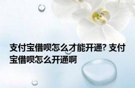 支付宝借呗怎么才能开通? 支付宝借呗怎么开通啊