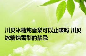 川贝冰糖炖雪梨可以止咳吗 川贝冰糖炖雪梨的禁忌 