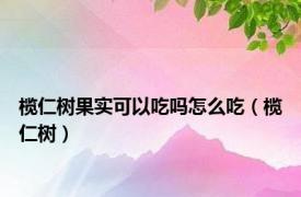 榄仁树果实可以吃吗怎么吃（榄仁树）