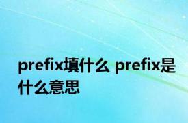 prefix填什么 prefix是什么意思 