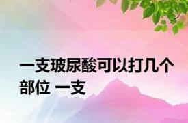 一支玻尿酸可以打几个部位 一支 