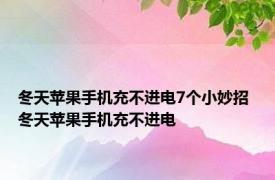 冬天苹果手机充不进电7个小妙招 冬天苹果手机充不进电 