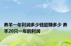 养羊一年利润多少钱能赚多少 养羊20只一年的利润 